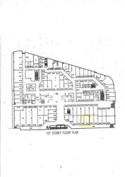 Lucky Plaza (D9), Shop House #627347441